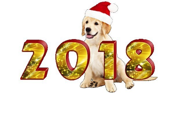 Yangi yil 2018 haqida qiziqarli: Yangi yilga oid ajabtovur odatlar