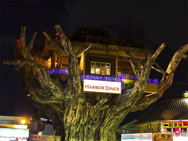 Daraxtdagi noyob restoranlar juftligi