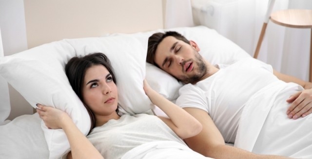 Xurrak to’g’risida qiziqarli faktlar